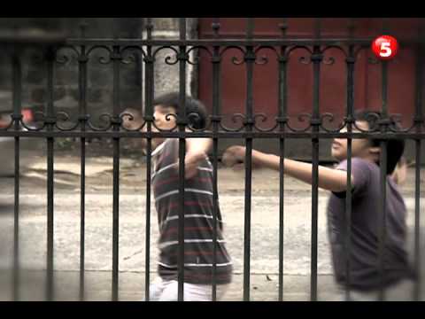 Pidol's Wonderland 120826