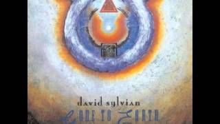 David Sylvian - Home