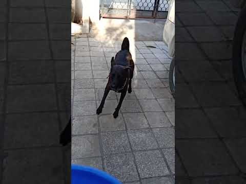 Jacky just enjoying😊