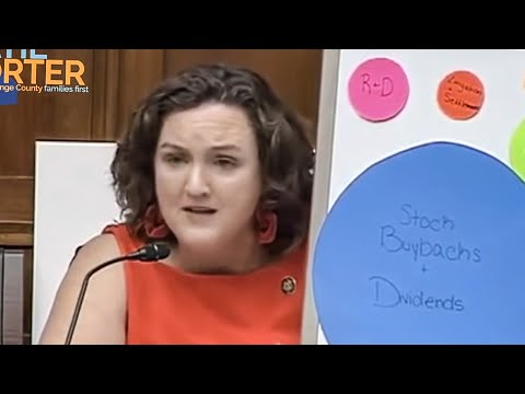 Katie Porter Absolutely Destroys Pharma CEO During House Hearing