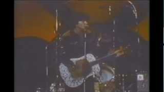 Rick Nelson Milk Cow Blues 1979