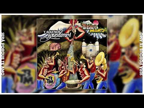 Será porque te amo -- Banda Tierra Mojada