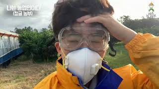 제주 청년농부가 알려주는 청귤병충해 조사#2 | 나는 농업인이다