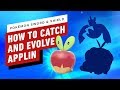 How to Evolve Applin to Appletun or Flapple - Pokemon Sword and Shield