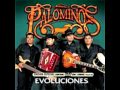 Los Palominos - Atrevete A Olvidarme