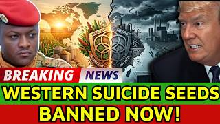 The $3B Seed Rebellion: Why Africa Banned Western "Suicide Seeds"?