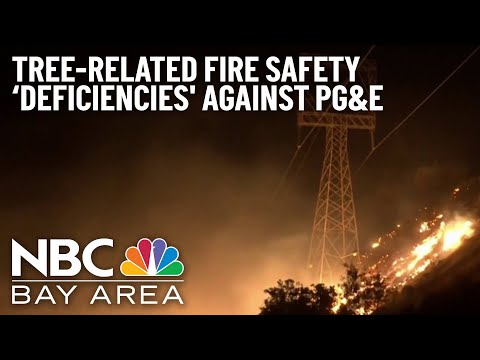 Monitor Issues 20 Tree-Related Fire Safety ‘Deficiencies' Against PG&E