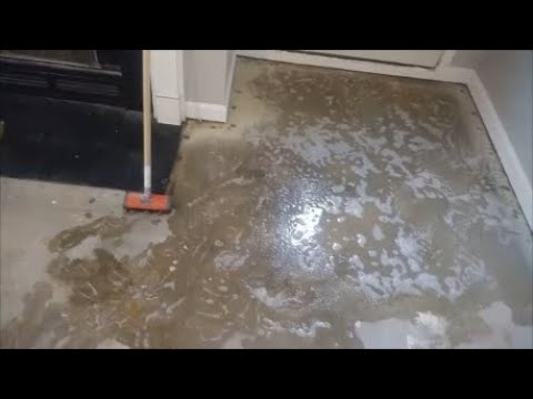 YouTube video about: Does cat litter damage concrete?