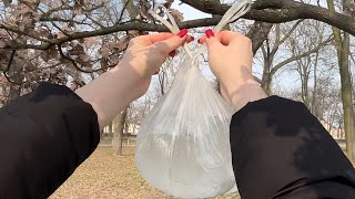 Hänge Wasserbeutel an den Bäumen auf. Du wirst dir bei diesem Trick schnell danken