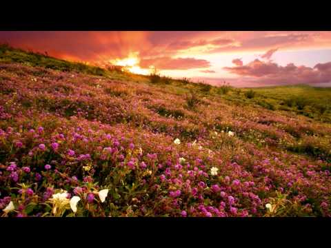 Frank Dattilo - 753 B.C. (O.B.M Notion Remix)