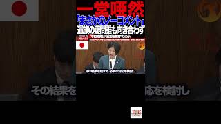 【参政党】⑤「逃げの答弁連発…国民が違和感を覚えた理由」#国会 #梅村みずほ #参政党#辺野古 #沖縄問題 #平和教育