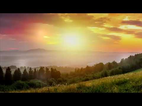 ☂ J. S. Bach Air in G String ☂ (10 Hours)