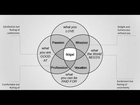 Diventare traduttori - Il traduttore insostituibile
