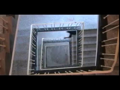 Everyday is the same