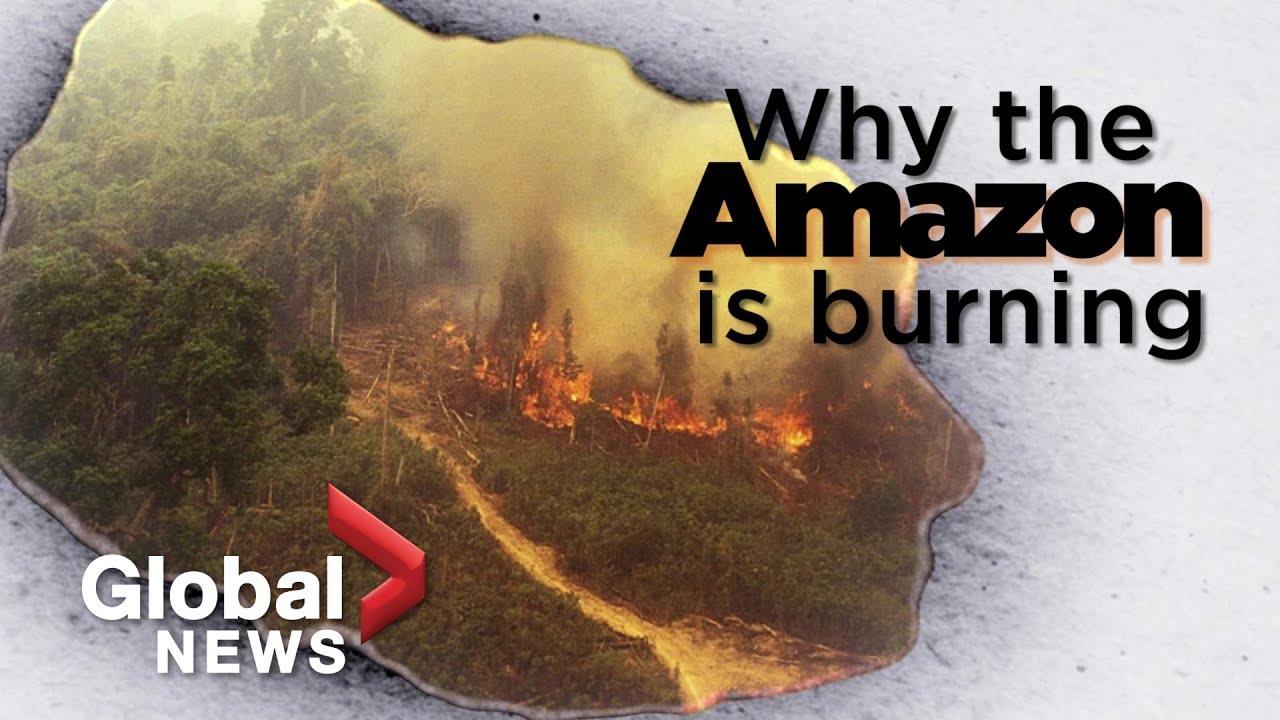 youtube video id=B5gv4bka5Qg