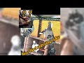 New Bird unboxing video |pigeon lover's|#Adukalam