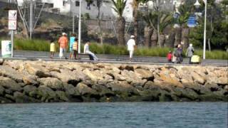 preview picture of video 'Baie de Bouregreg, Rabat.wmv'