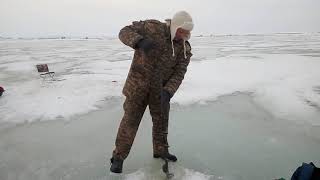 Ссылка