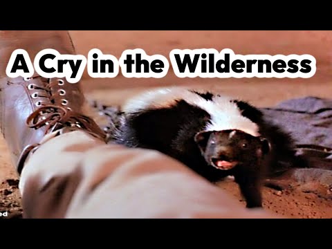 A Cry In The Wilderness (Thriller) ABC Movie of the Week - 1974
