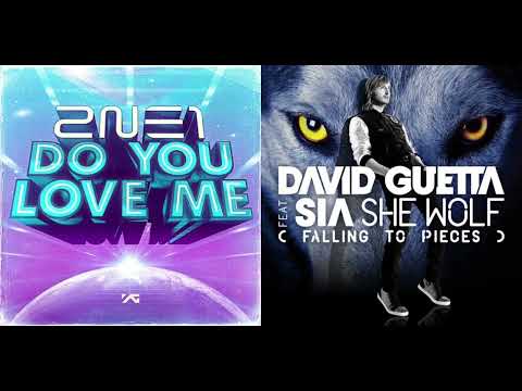 2NE1, David Guetta featuring Sia - Do You Love Me x She Wolf (Falling To Pieces Instrumental) Mashup