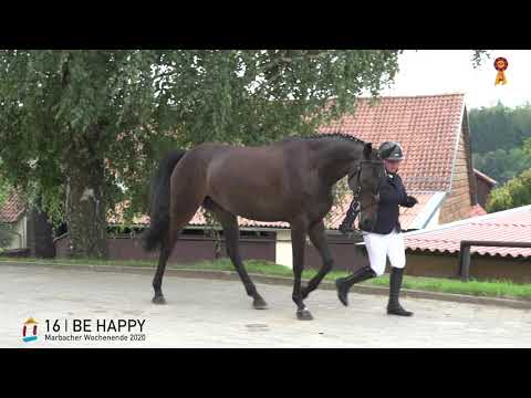 16 Be Happy v. Be Careful - Caribik  *MARBACHER WOCHENENDE 2020*