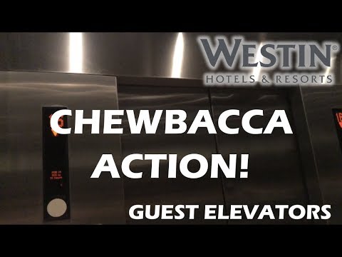 Kone Ecodisc Traction Guest Elevators - The Westin at Yorktown Center in Lombard, IL