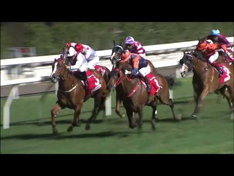 15/12/2021 (256) Special M - J Moreira