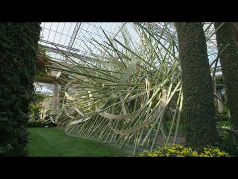 Blooms & Bamboo: Chrysanthemum and Ikebana Sogetsu Artistry