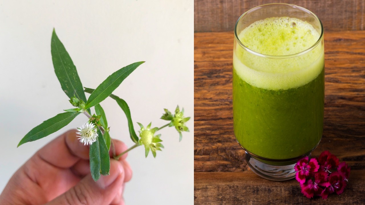 Anti-Inflamatório, Acaba com Feridas, Vermes, Fungos, Gordura no Fígado… 💖 MARILENE SARAH FIALHO