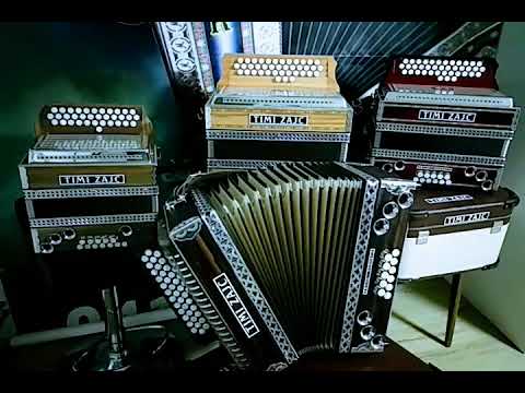HARMONIKE TIMI ZAJC - PLAZNIK STIMA
