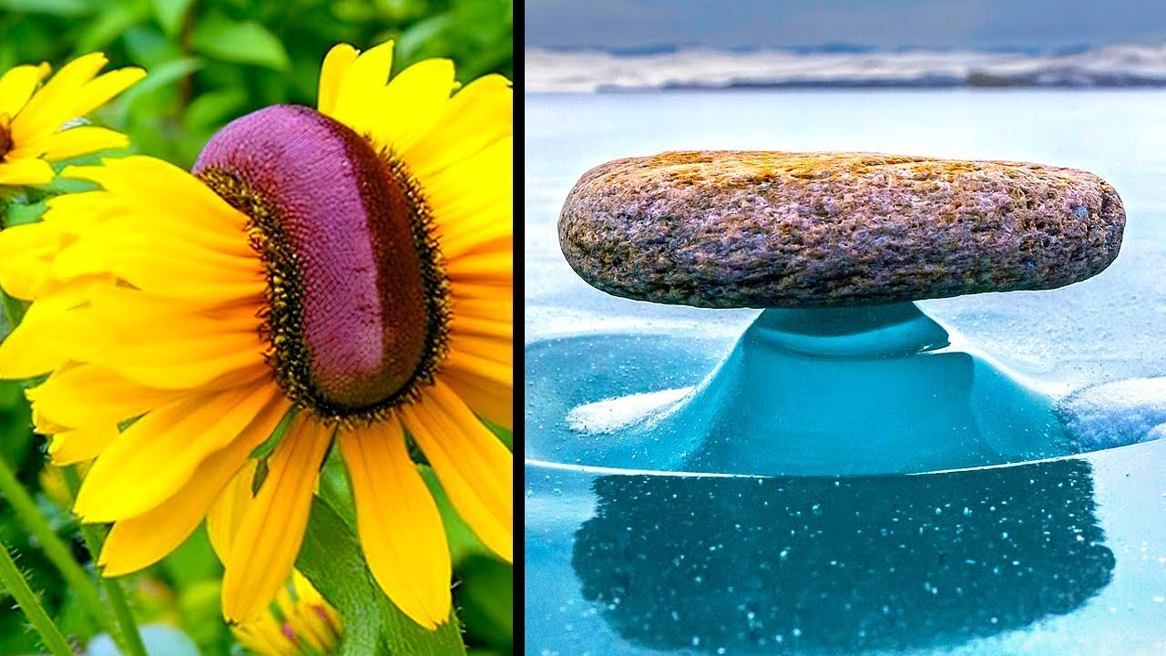 Mind Blowing Anomalies of Nature