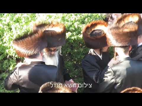 Viznitz Kiamesha Rebbe Seen At Chupa - 21 Sivan 5781