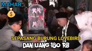 Download lagu VIDEO LUCU AKAD NIKAH BIKIN NGAKAK 🤣 mp3