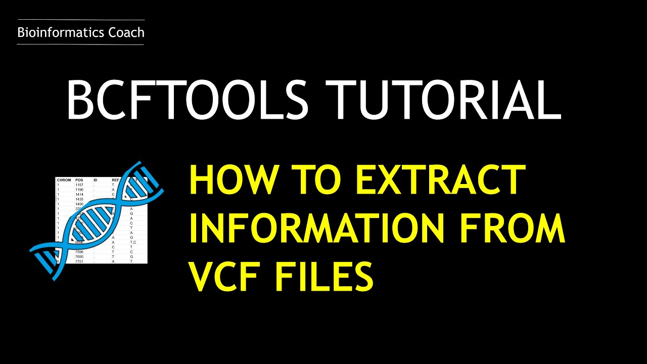 BCFTOOLS Tutorial | How I Extract information from a vcf file