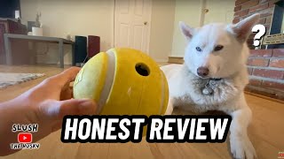 KONG Rewards Tennis Ball Review: Does It Really Work?