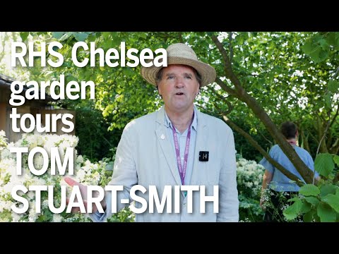 Chelsea Flower Show 2024: Tom Stuart-Smith on his National Gardens Scheme garden