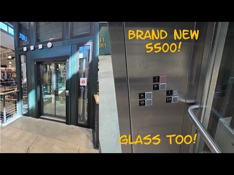 BRAND NEW Glass Schindler 5500 MRL Traction Elevator - Dick's House of Sport - Tampa FL
