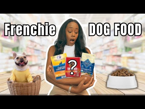 Avoid These Mistakes When Feeding French Bulldogs | 2025
