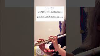 Rondo alla turca | sped up| flute tutorial |sheet music