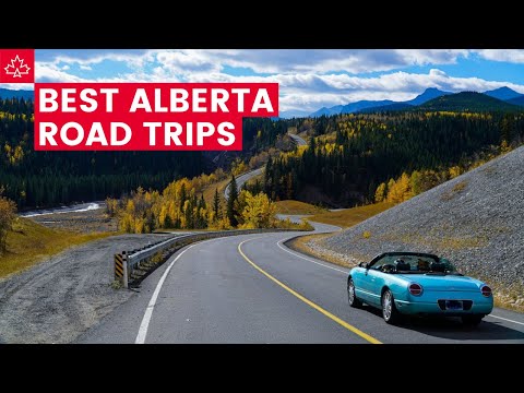 These are the BEST ROAD TRIPS in ALBERTA!