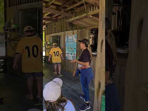 Borracha Adulterada pelos seringueiros... #shorts