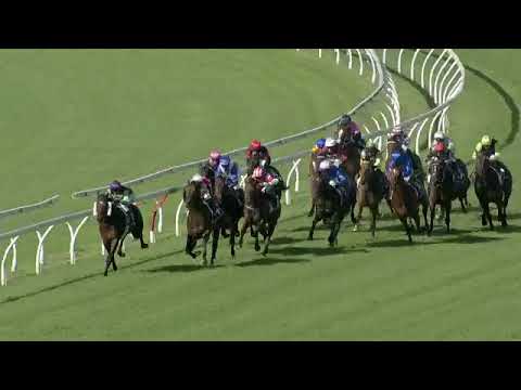 Hawaii Five Oh wins the Fred Best Classic