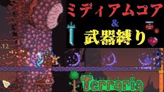 【Terraria】ミディアムコアと武器縛りで死ぬテラリア【マルチ実況】part8