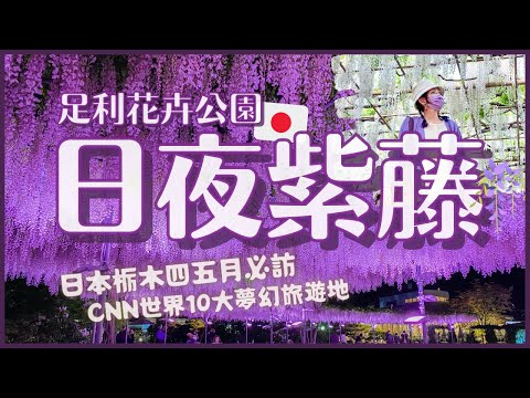 , title : '日本紫藤花2022💜到足利花卉公園看日夜藤花、吃藤花冰淇淋、買藤花伴手禮｜上野出發最快1.5小時抵達｜四月底五月初景點｜日本4K旅遊VLOG'