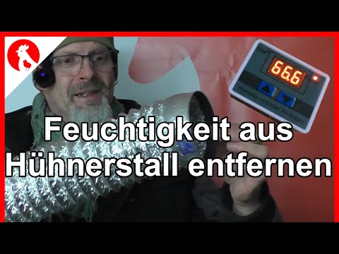142  Nasser Stall adé | Stallentlüftung über Feuchtigkeitsregelung - Jensman and the Huhns