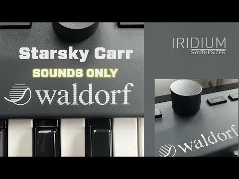 Waldorf Iridium Keyboard - Black image 5