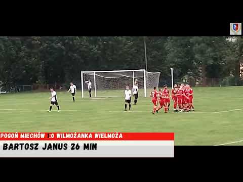 pogoń miechów   wielmożanka wielmoża 20 08 2022