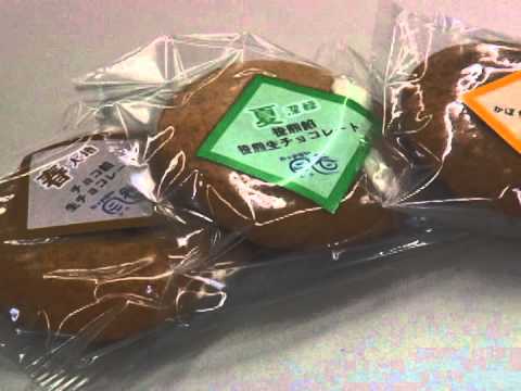 学生の思いを風に乗せて 風香【2011年作品】