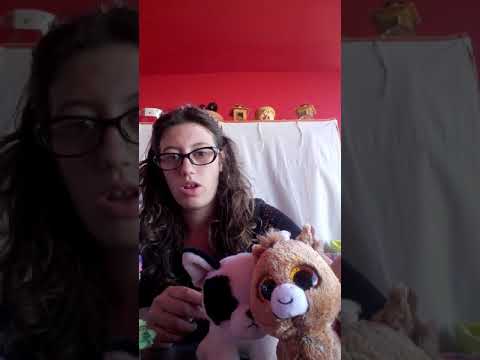 Mes  achats de Toulon