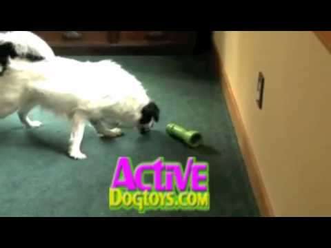 download lagu mp3 mp4 Linkables Dog Toys, download lagu Linkables Dog Toys gratis, unduh video klip Linkables Dog Toys
